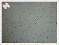 Inteior RH80% Ceiling Tile