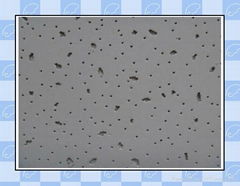 Acoustic Ceiling Mineral Fiber Panel