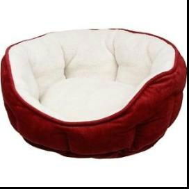 dog bed