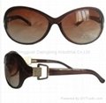 Hot sell Fashion sunglasses 1