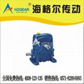 worm gear reducer 1