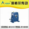 worm gear reducer 4