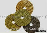 Diamond Polishing Pad