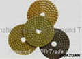 Diamond Polishing Pad 1