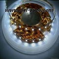 LED Flexible Strip Light 1