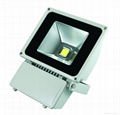 LED Flood Light 1