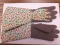 garden glove-7353