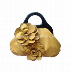 Ladies Handbag