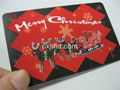 magnetic stripe card 3