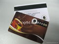 PVC magnetic stripe card 1