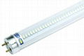 led T8 tube 1