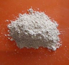 poplar wood powder