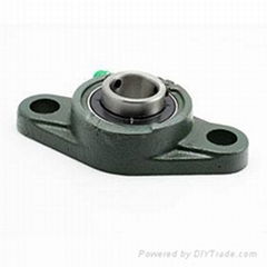 UCF pillow block bearing