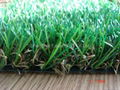 artificial turf 2