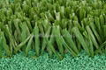 line artificial turf grass 3