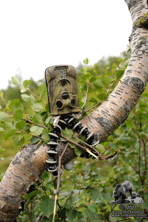 Promotion! 12MP 850NM PIR Sensor Night Vision Wild Hunting Trail Camera 3