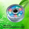 LED Underwater Light