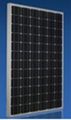 Monocrystalline solar module 1