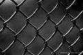 chain link fence 2