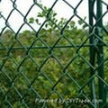 chain link fence 5