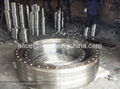 industrial flange  3