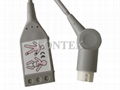 HP/Ph 3Ld ECG Trunk cable 2