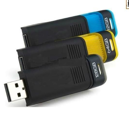USB Flash Drive DT200 1