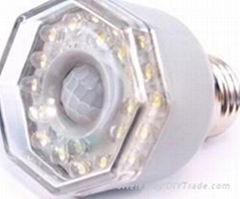 LED Motion Light