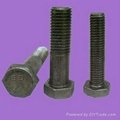 hex bolts 1
