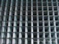 Welded Wire Mesh ,WW-032-M 2