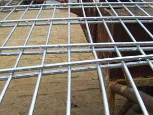 Double Wire Fence,DW-01-F  4