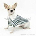 Dog Dog Collection Designer Dog Apparel Shirt 