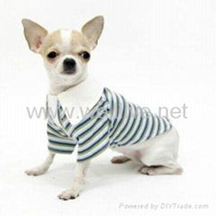 Dog Dog Collection Designer Dog Apparel