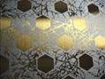 Ti-gold etched finishes /art finishes  stainless steel sheet  1