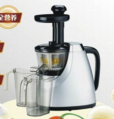 low speed juicer