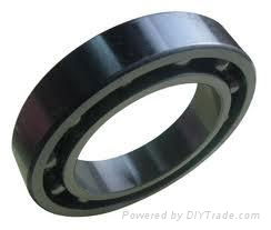 Deep Groove Ball Bearing 3