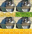 Multi-functional Fruit Slicer 1