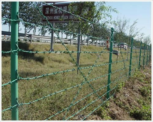 razor barbed wire 2