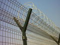 razor barbed wire