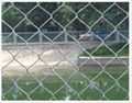 chain link fencing 1