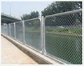 chain link fencing 4
