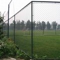 chain link fencing 5