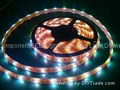 LED Strip 1