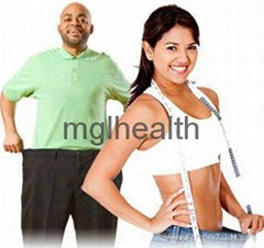 OEM/ODM DETOX SLIM BELLY PATCH, Best weight loss slimming patch formula