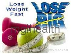 OEM/ODM Fast weight loss slimming, Best fat burning formula