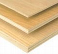Russian birch plywood 