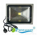 50W Waterproof LED Flood Light