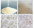 Rice polishing machine 2