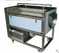 Vegetable Washing Machine