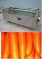 Carrot  Washing and Peeling Machine 